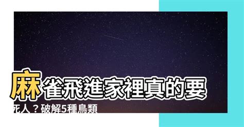 麻雀飛進家裡號碼|麻雀誤闖辦公室是吉兆？單位是不是要「火」？